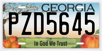 GA license plate PZD5645
