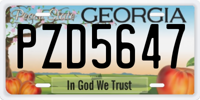GA license plate PZD5647