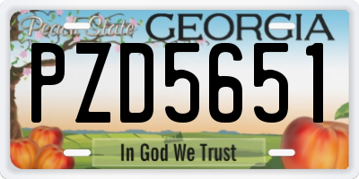 GA license plate PZD5651