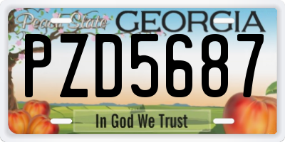 GA license plate PZD5687
