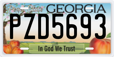 GA license plate PZD5693