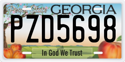 GA license plate PZD5698