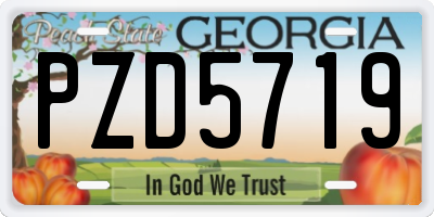 GA license plate PZD5719