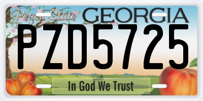 GA license plate PZD5725
