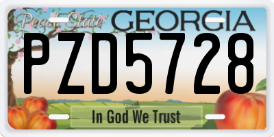 GA license plate PZD5728