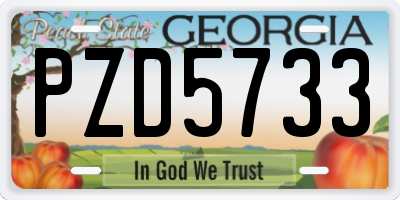 GA license plate PZD5733