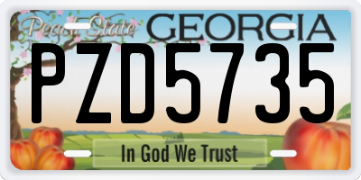 GA license plate PZD5735