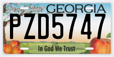GA license plate PZD5747