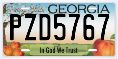 GA license plate PZD5767