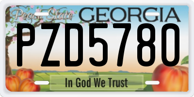 GA license plate PZD5780