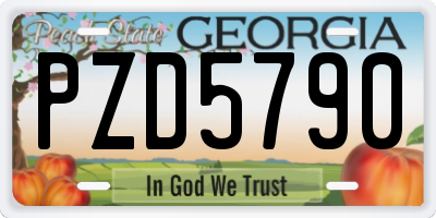 GA license plate PZD5790