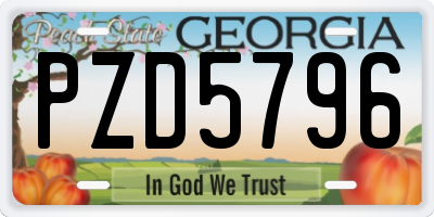 GA license plate PZD5796