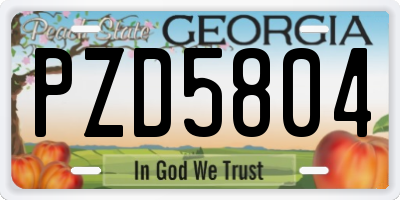 GA license plate PZD5804