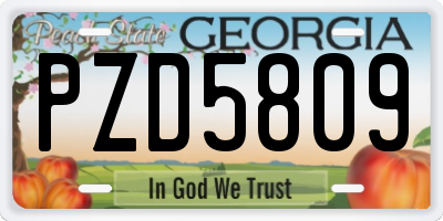 GA license plate PZD5809