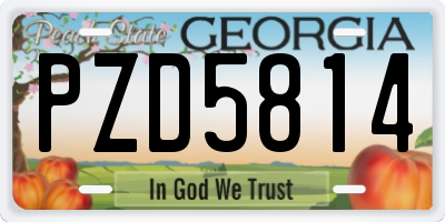 GA license plate PZD5814