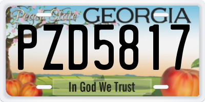 GA license plate PZD5817