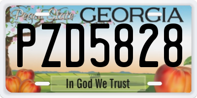 GA license plate PZD5828