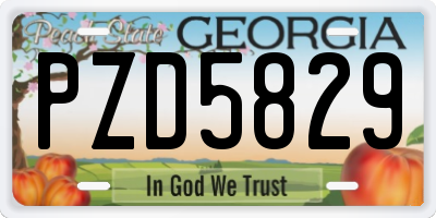 GA license plate PZD5829