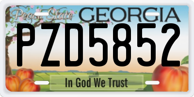 GA license plate PZD5852
