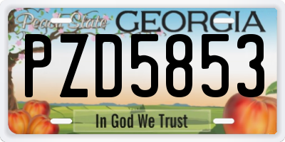 GA license plate PZD5853