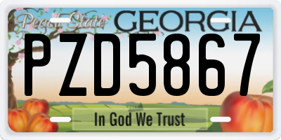 GA license plate PZD5867