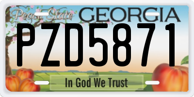 GA license plate PZD5871