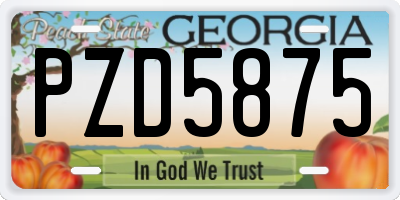 GA license plate PZD5875