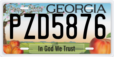 GA license plate PZD5876