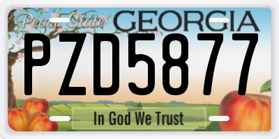 GA license plate PZD5877
