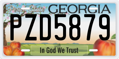 GA license plate PZD5879