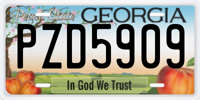 GA license plate PZD5909