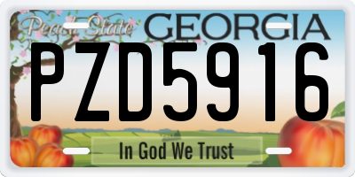 GA license plate PZD5916