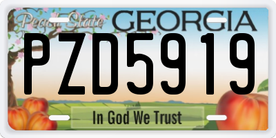 GA license plate PZD5919
