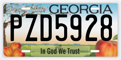 GA license plate PZD5928