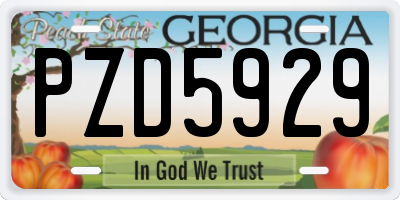 GA license plate PZD5929