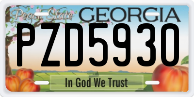 GA license plate PZD5930