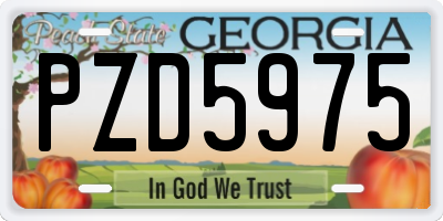 GA license plate PZD5975