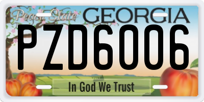 GA license plate PZD6006