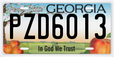 GA license plate PZD6013
