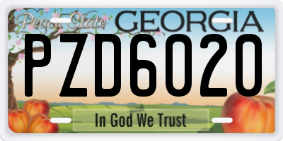 GA license plate PZD6020
