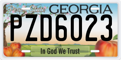 GA license plate PZD6023