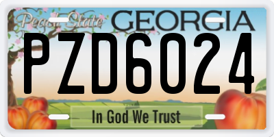 GA license plate PZD6024