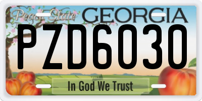 GA license plate PZD6030