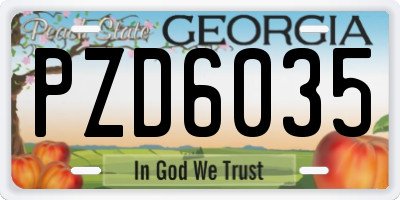 GA license plate PZD6035
