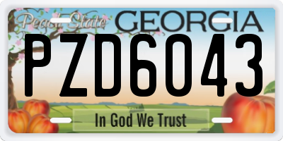 GA license plate PZD6043
