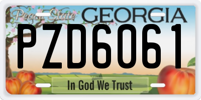 GA license plate PZD6061