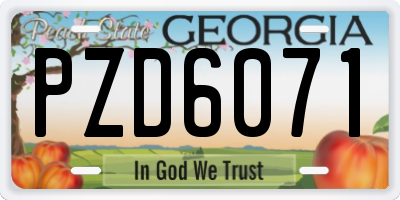 GA license plate PZD6071