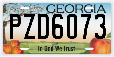 GA license plate PZD6073
