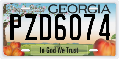 GA license plate PZD6074