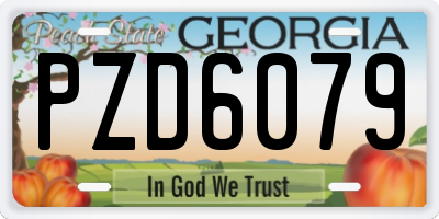GA license plate PZD6079
